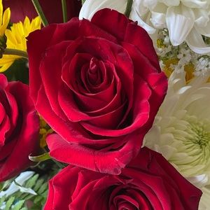 Meet your Posher, Sara